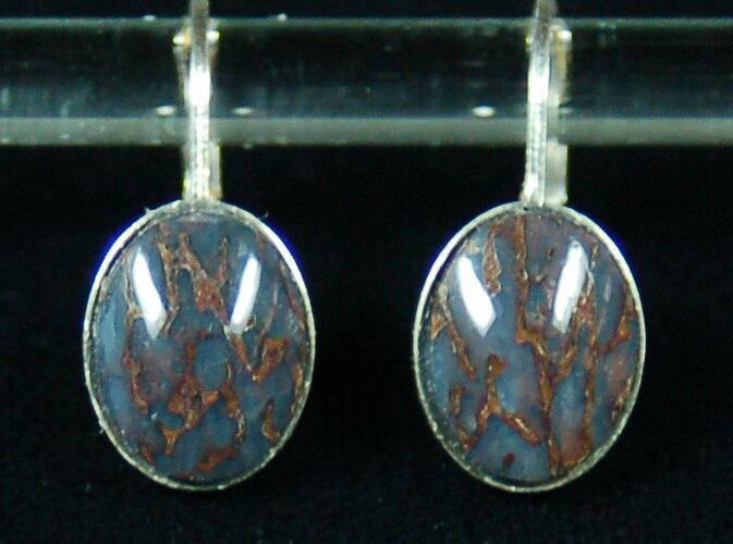 Dark Blue, Polished Dinosaur Bone (Gembone) Earrings #54101